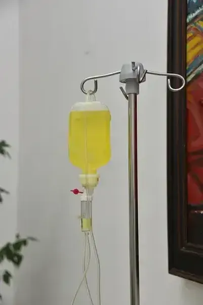 Slika sekcije
